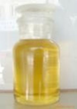 Curcuma Oil